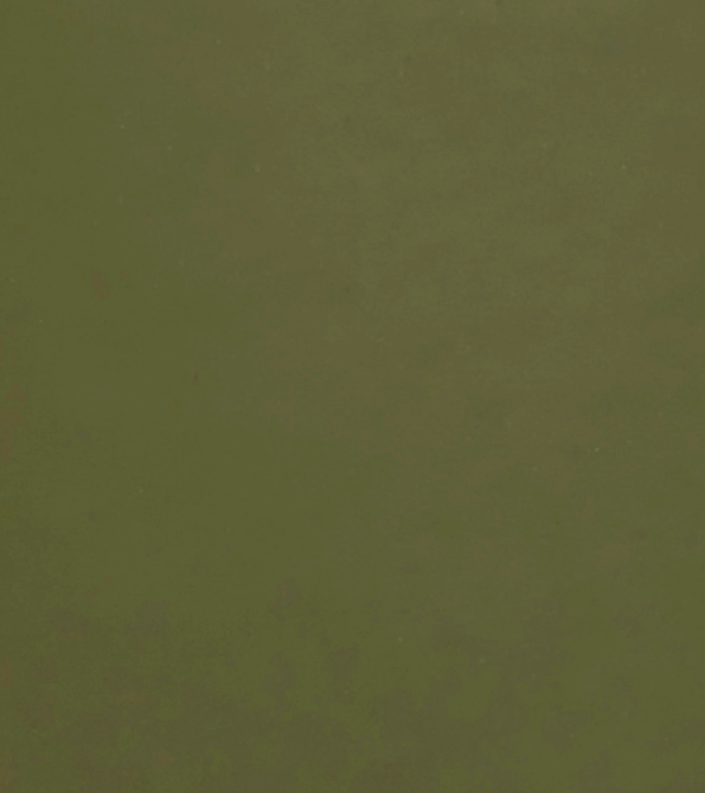 Kids Forest Green Matte Rain Boots - Image 7